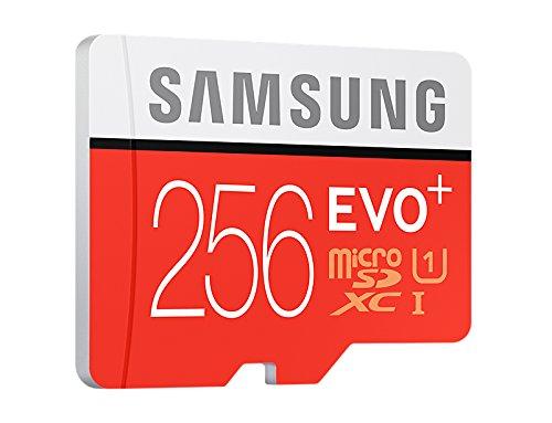 256 MSD SAMSUNG 10 (95 MBP)
