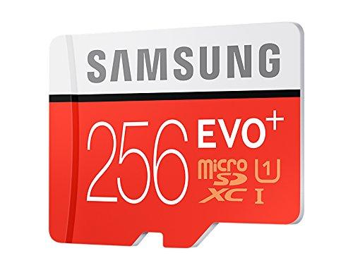 256 MSD SAMSUNG 10 (95 MBP)