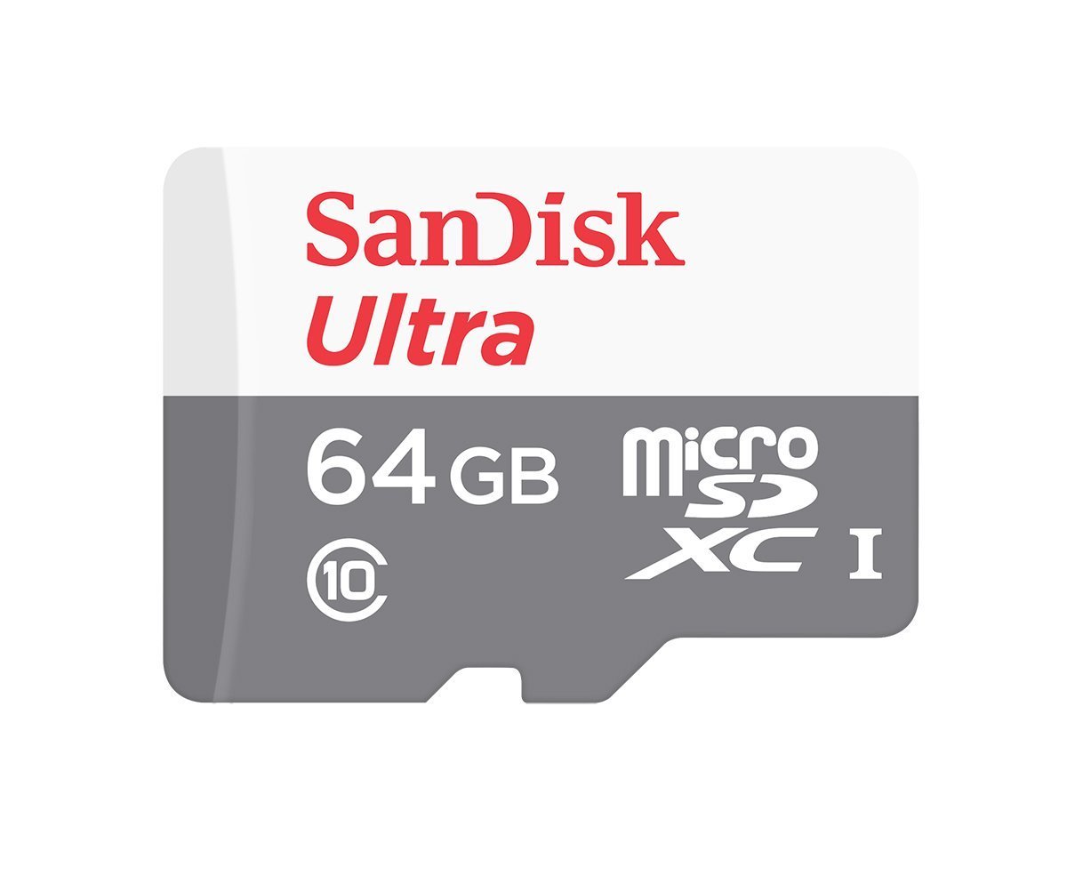 64GB MSD SANDISK CLASS 10 (48MBP/S)