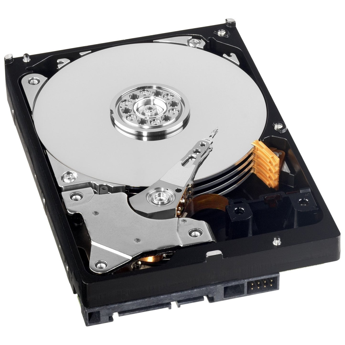 Western Digital 1TB AV Internal Hard Disk for Desktop/PC