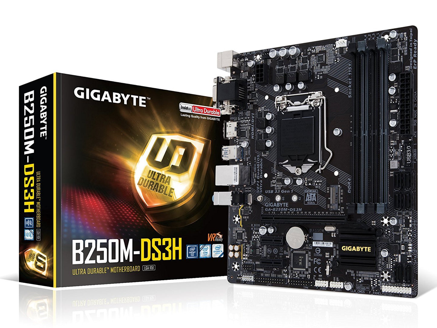 GIGABYTE B250M-DS3H Intel Compatible Motherboard for Desktop Computer/PC