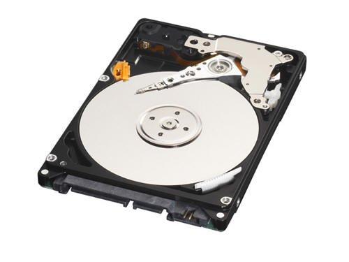 Western Digital 250GB Internal Hard Disk for Laptop