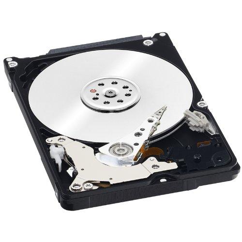 Western Digital 250GB Internal Hard Disk for Laptop
