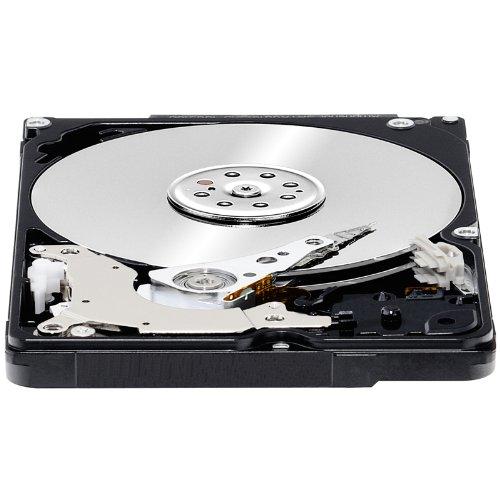 Western Digital 250GB Internal Hard Disk for Laptop
