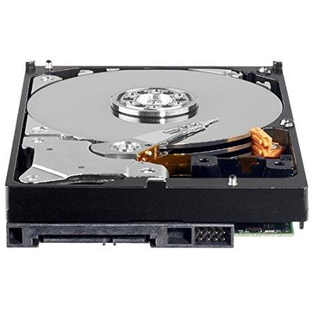Western Digital 1TB AV Internal Hard Disk for Desktop/PC