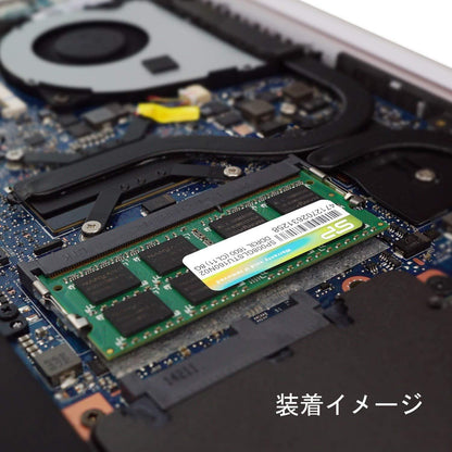 Silicon Power 8GB DDR3 PC3L-12800 1600MHz 204-Pin Laptop Memory Model SP008GLSTU160N02